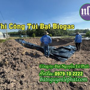 Thi Công Bạt Lót Ao Hồ Chứa Trữ Nước Nuôi Cá Tưới Cây tại Tây Ninh